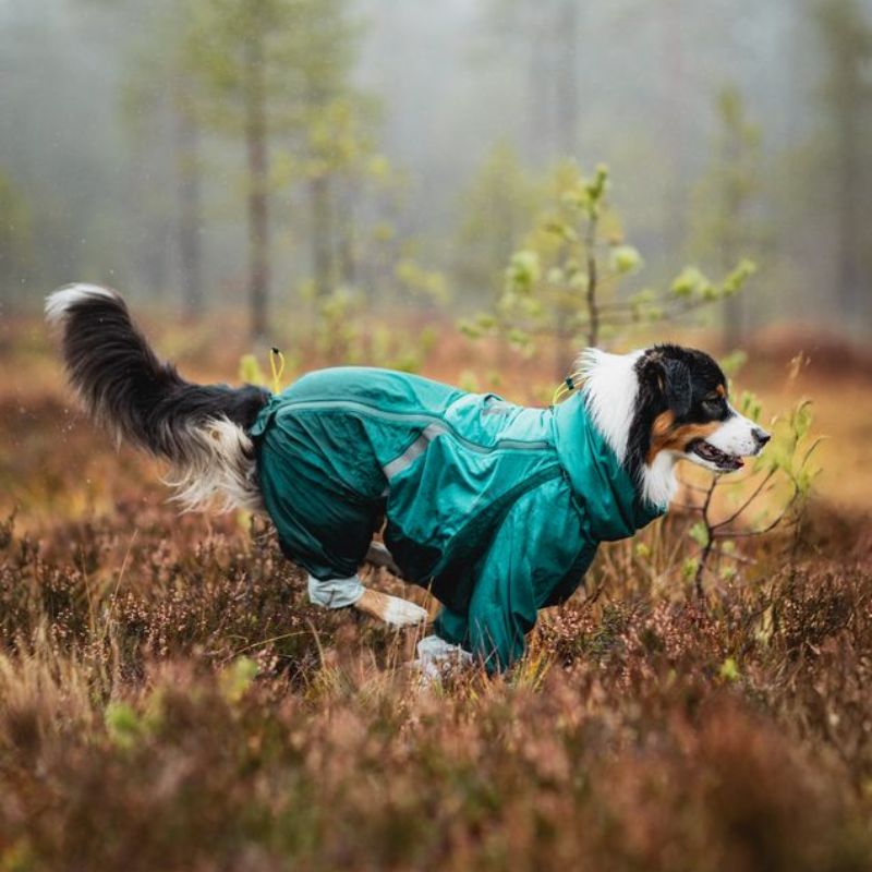 Non-stop dogwear Fjord overall koiran sadehaalari petrooli