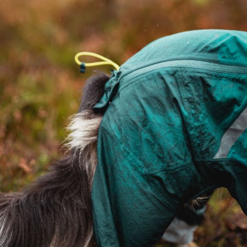 Non-stop dogwear Fjord overall koiran sadehaalari petrooli