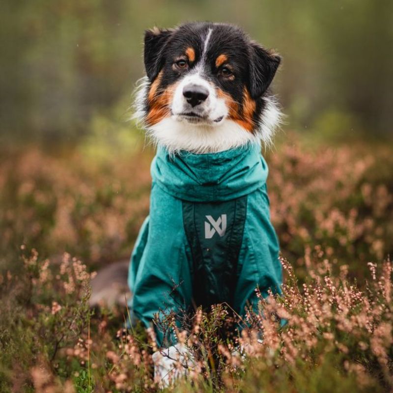 Non-stop dogwear Fjord overall koiran sadehaalari petrooli