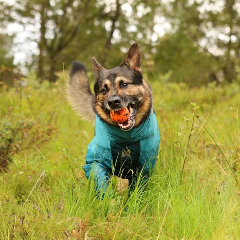 Non-stop dogwear Fjord overall koiran sadehaalari petrooli