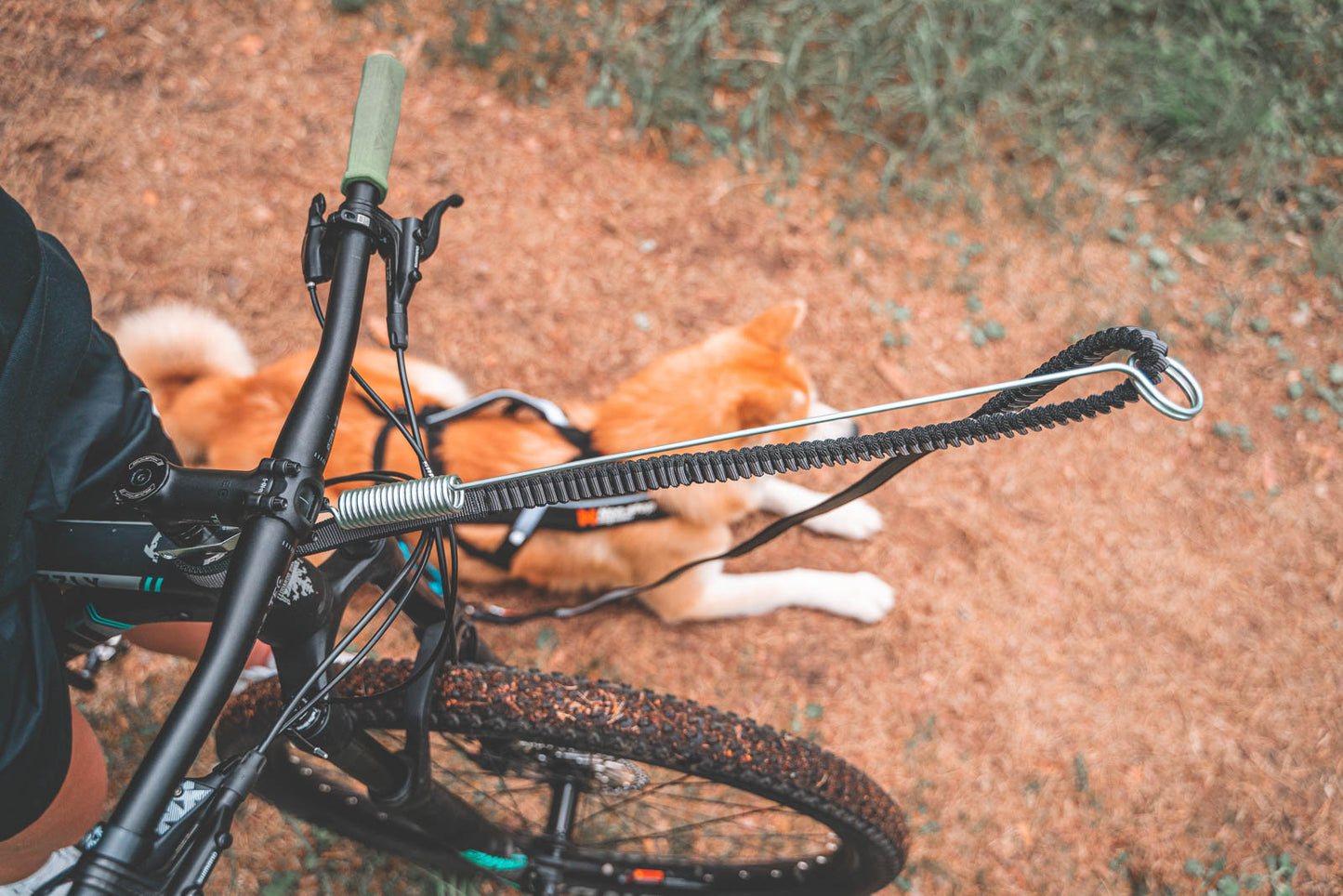 Non-stop dogwear Bike Antenna vetoadapteri