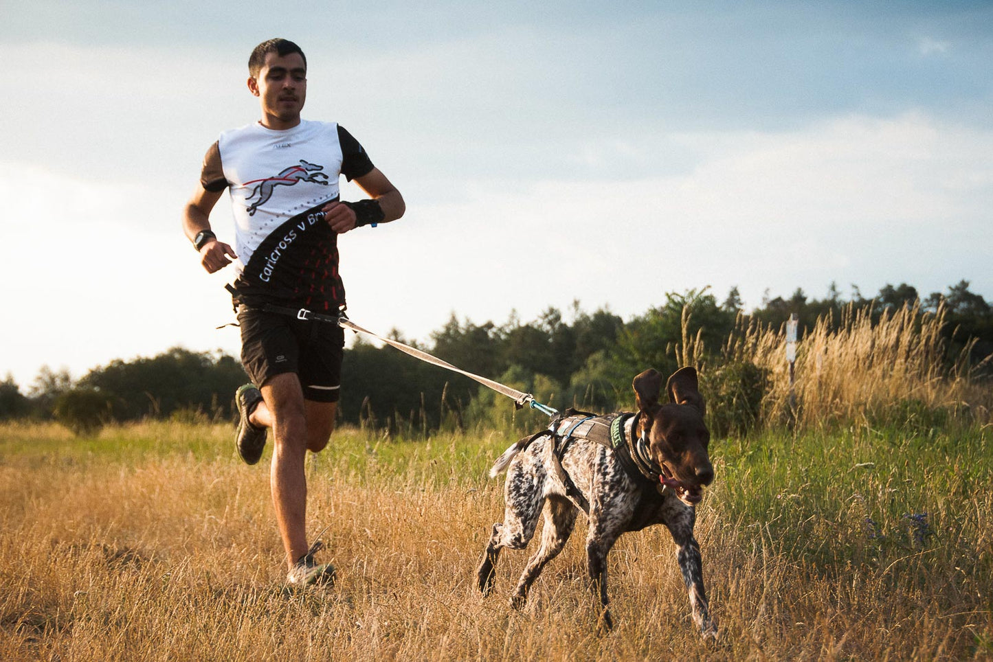 Non-Stop dogwear Freemotion vetovaljas