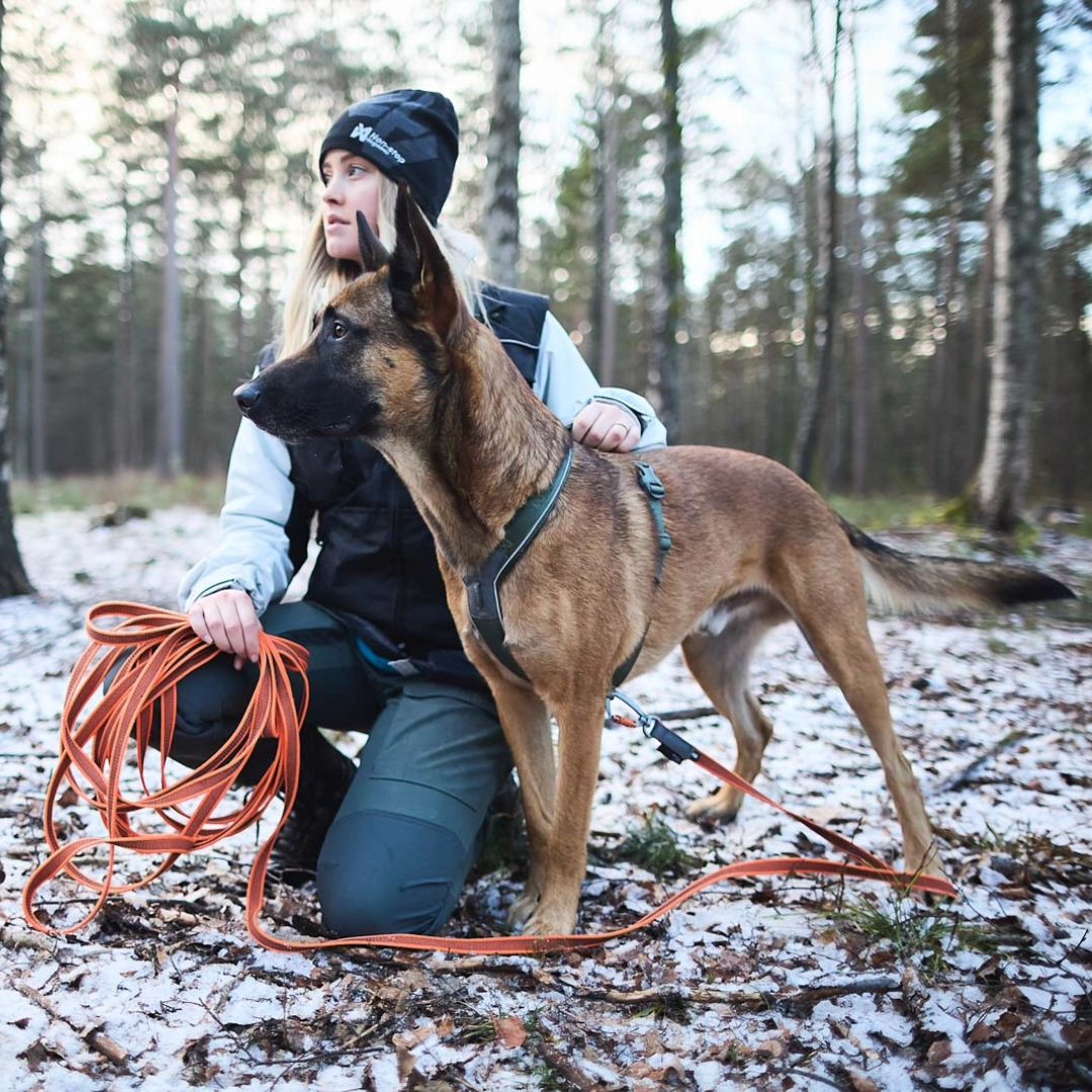Non-stop dogwear Friction long line grippiliina koiralle