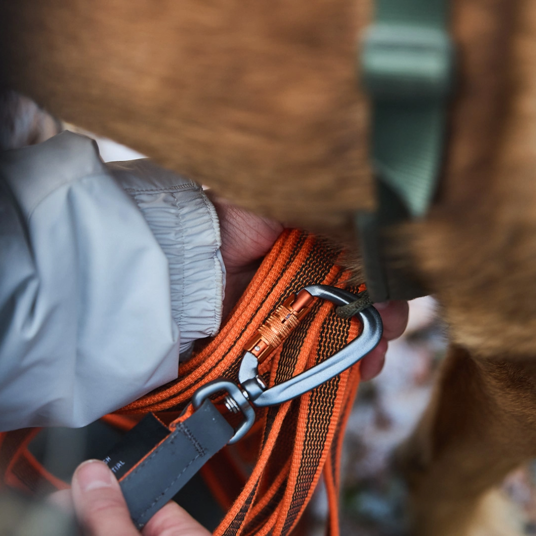 Non-stop dogwear Friction long line grippiliina koiralle