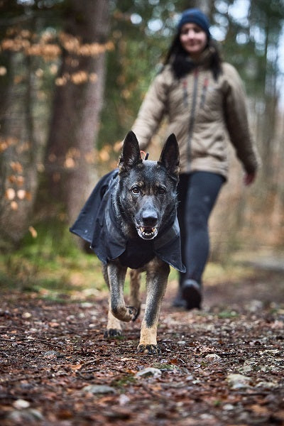 Non-stop dogwear Trekking koiran sadetakki