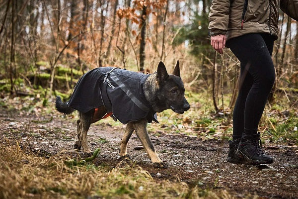 Non-stop dogwear Trekking koiran sadetakki