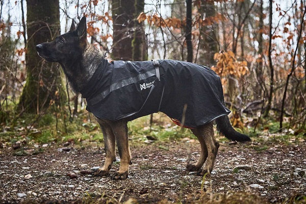 Non-stop dogwear Trekking koiran sadetakki