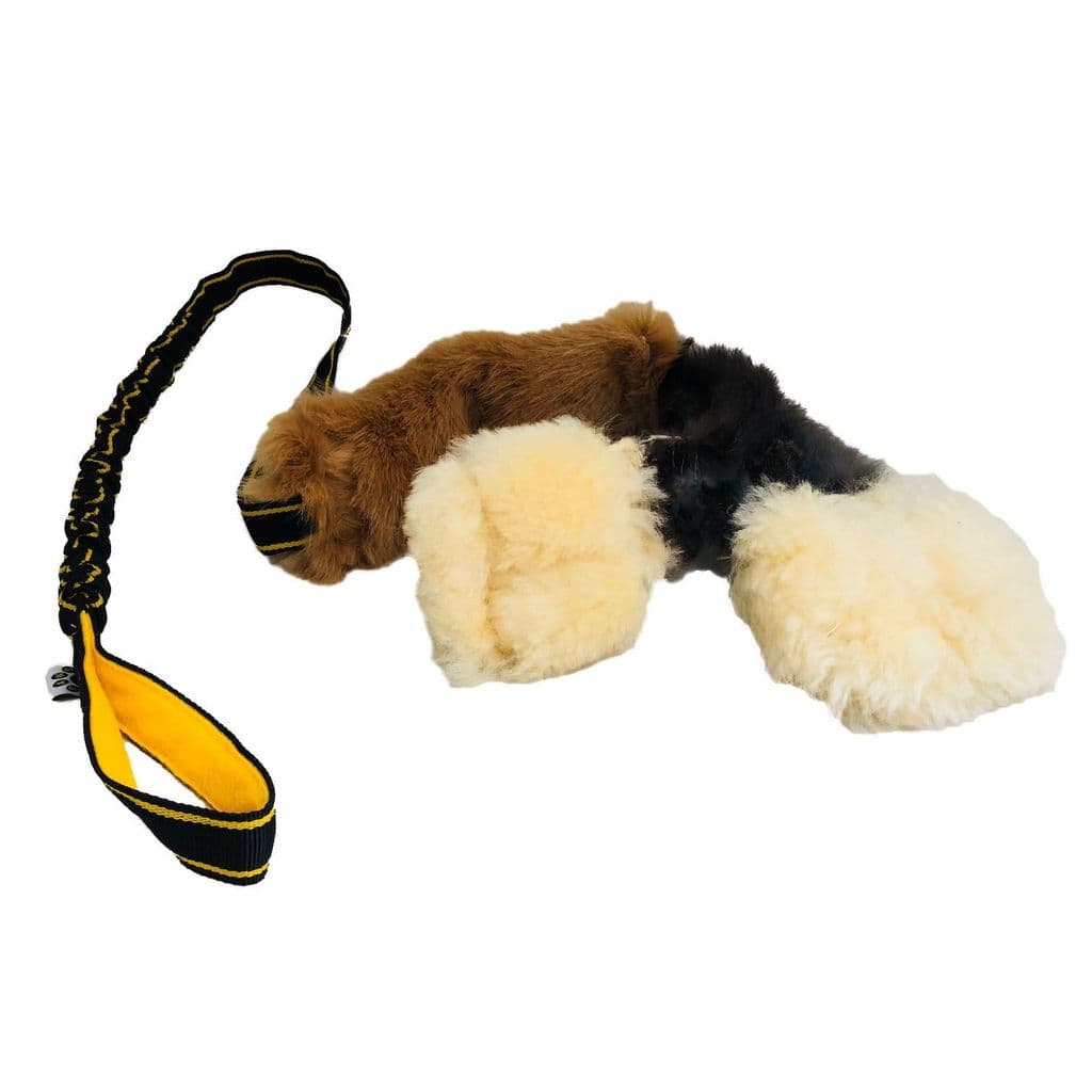PawsMade The Waggle koiran vetolelu