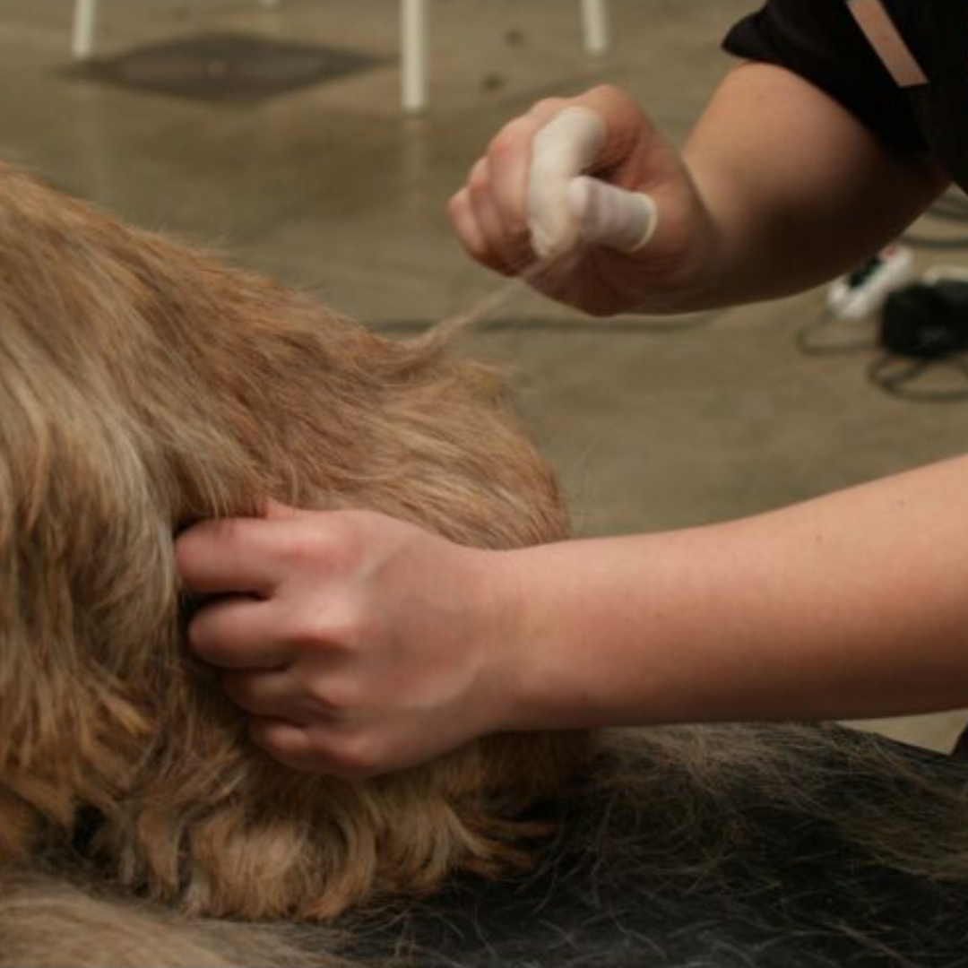 Show Tech Sormikumit 100 kpl