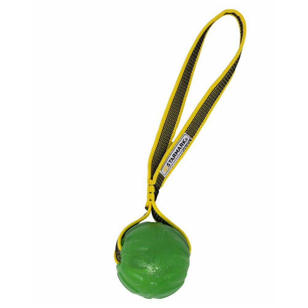 Starmark Gripcord Chew Ball Loop
