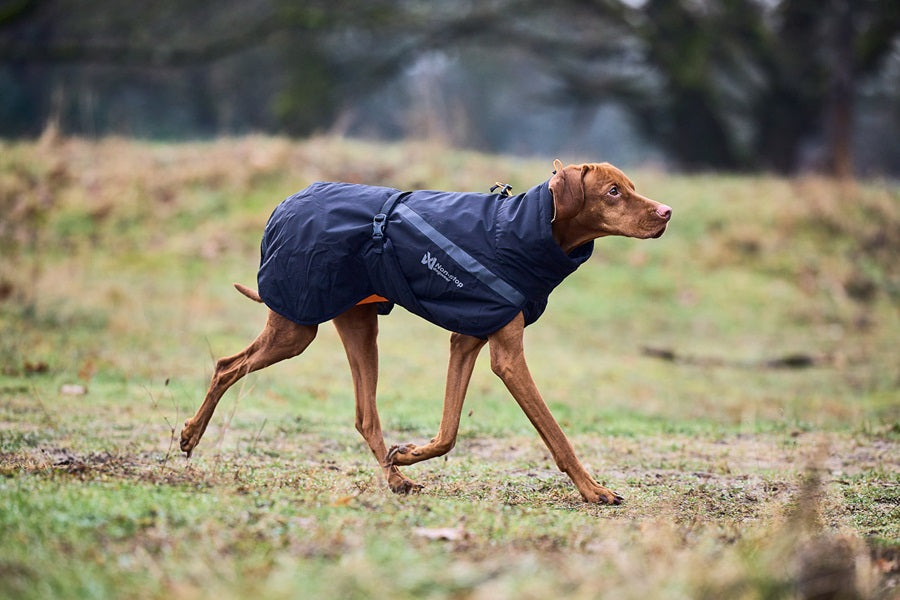 Non-stop dogwear Trekking Insulated koiran talvitakki