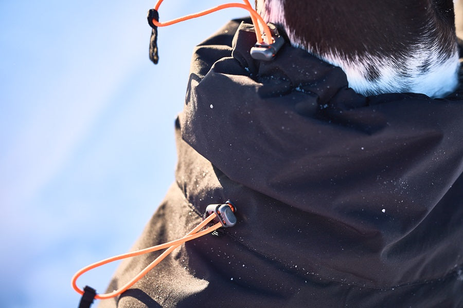 Non-stop dogwear Trekking Insulated koiran talvitakki