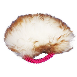 Vietti Pörris koiran vetolelu