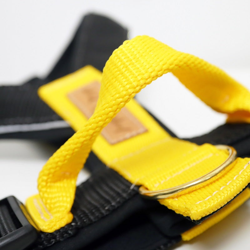 Wild Woof Run koiran valjaat, musta-keltainen