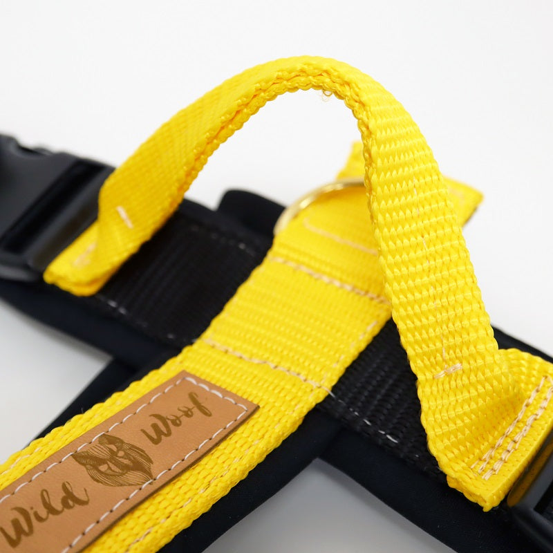 Wild Woof Run koiran valjaat, musta-keltainen