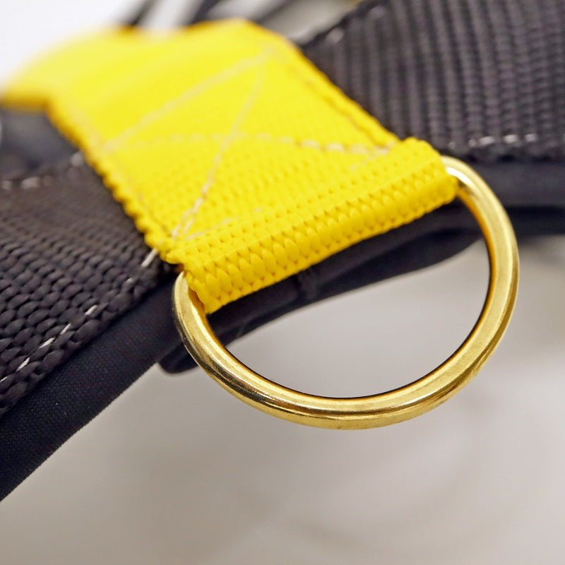 Wild Woof Run koiran valjaat, musta-keltainen