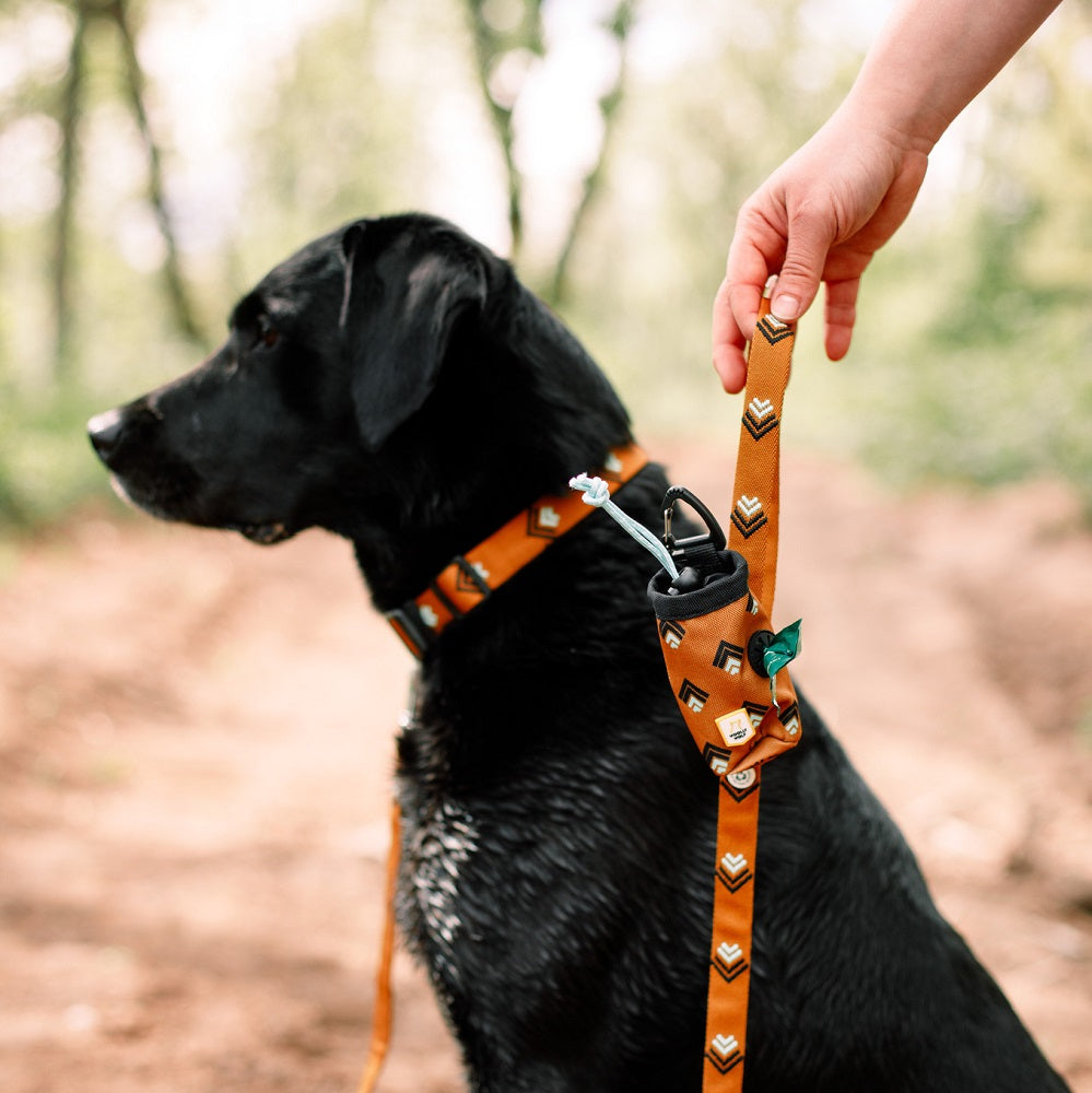 Woolly Wolf Kakkapussiteline, Sea to Summit
