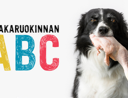 Merilevä koiran ruokinnassa