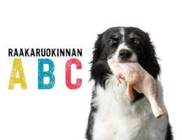 Raakaruokinnan ABC