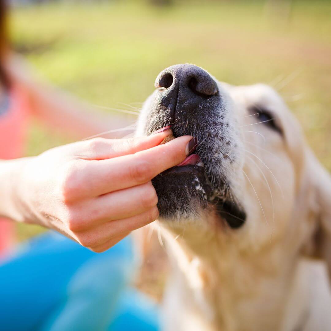 Ruoka- ja herkkutarjoukset