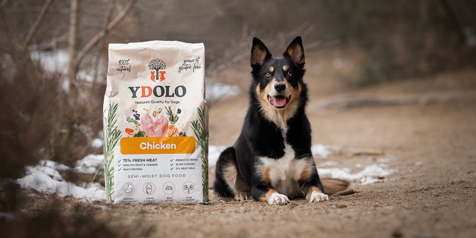 Naturea Naturals Terra Chicken koiran kuivaruoka