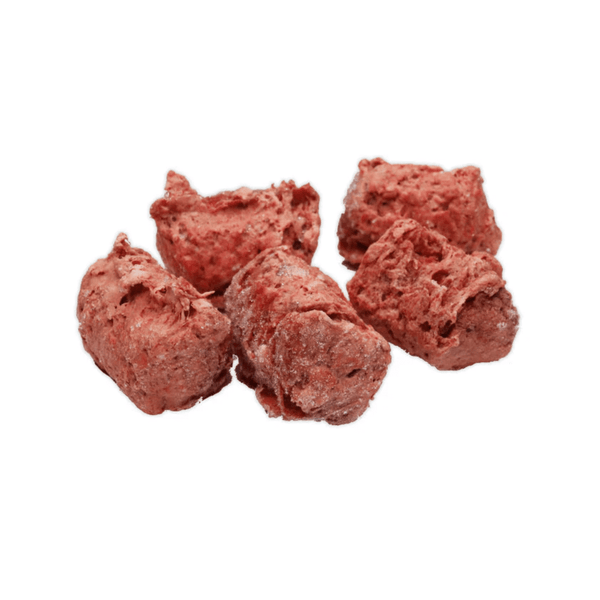 Sisäelimet ja elinseokset