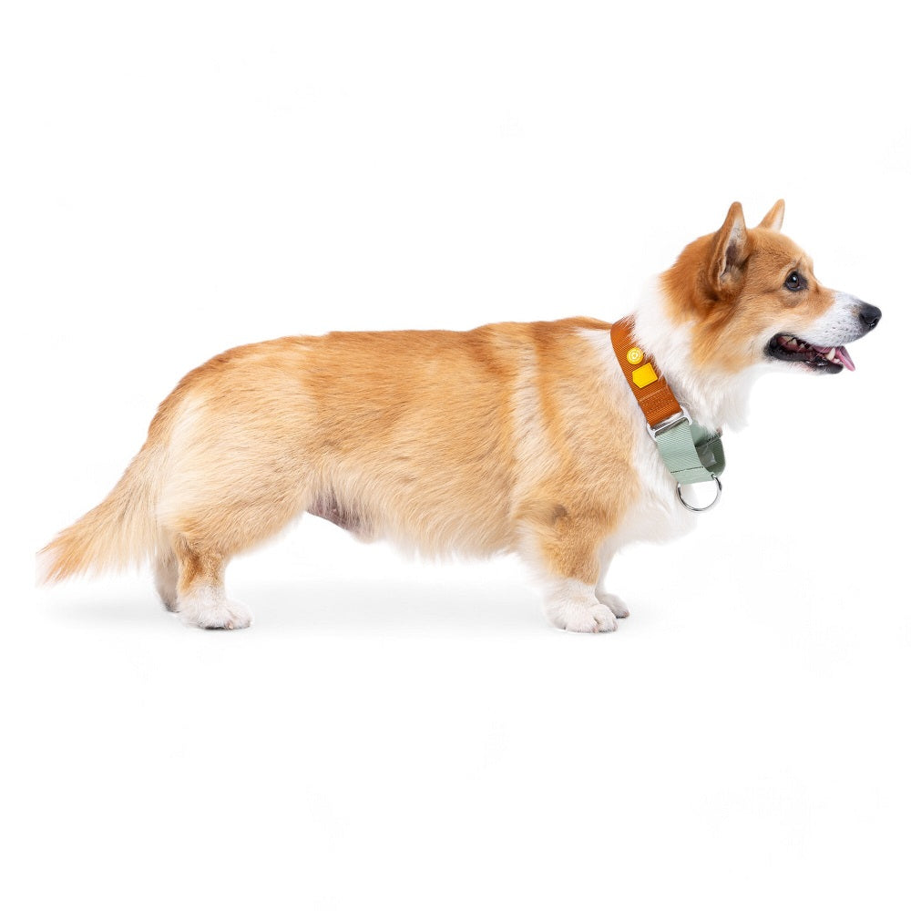 Woolly Wolf Color Block Martingale
