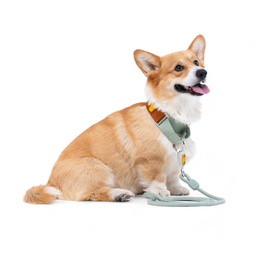 Woolly Wolf Color Block Martingale