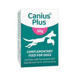 Canius Plus maitohappobakteerivalmiste koiralle