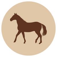 Fanimal Luullinen hevonen 500 g