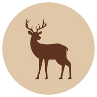 Fanimal Poron potkakiekko 1 kg
