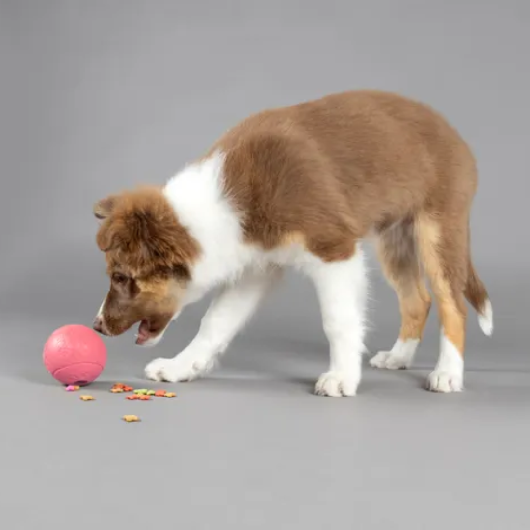 Flamingo Dt Puppy Rubber Rhea Kuminen aktivointipallo koiranpennulle