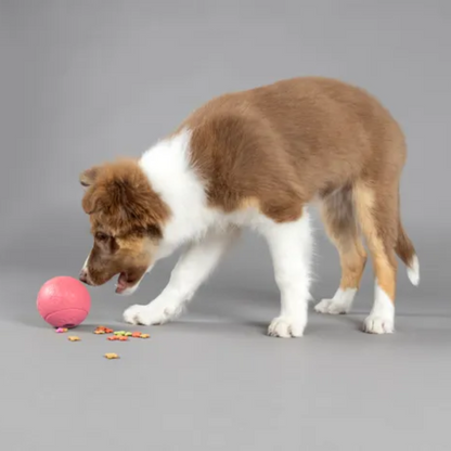 Flamingo Dt Puppy Rubber Rhea Kuminen aktivointipallo koiranpennulle