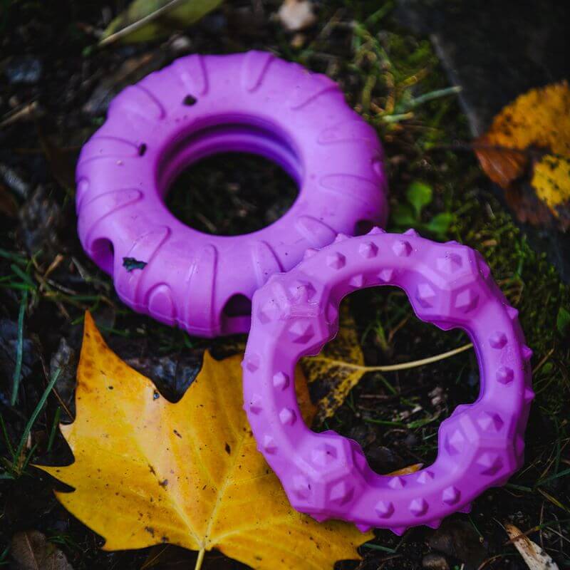 Freedog Rubber Snack aktivointilelu rengas, violetti