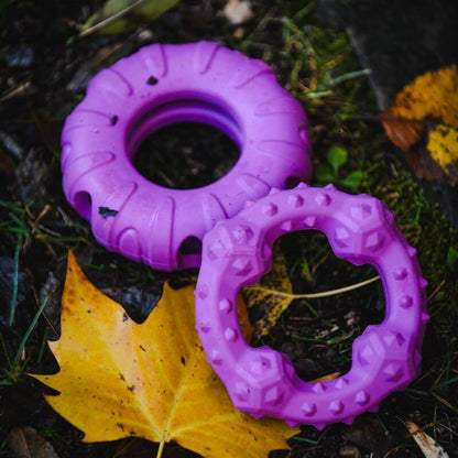 Freedog Rubber Snack aktivointilelu rengas, violetti