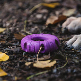 Freedog Rubber Snack aktivointilelu rengas, violetti