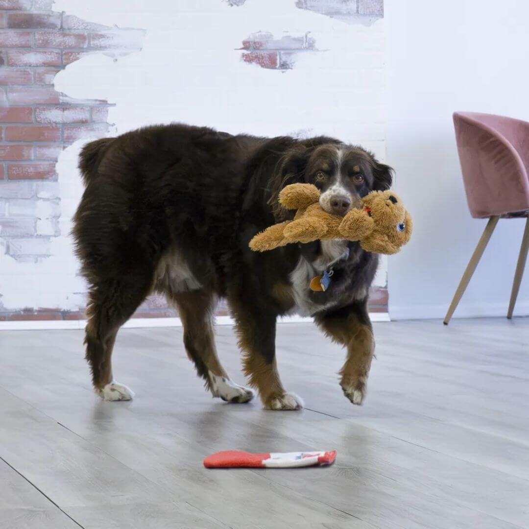 Kong Comfort Pups Goldie pehmolelu M