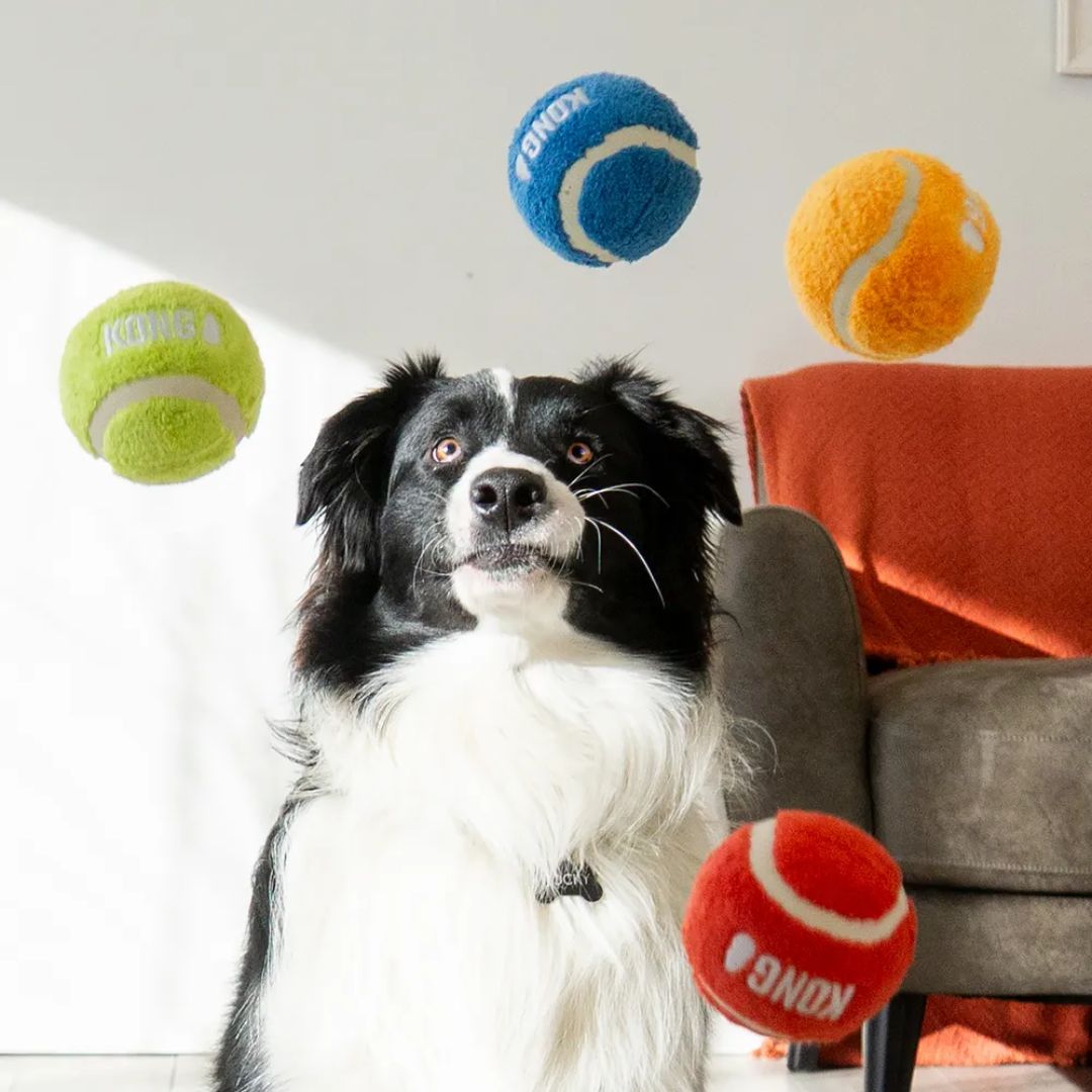 Kong Sport Softies koiran pallot