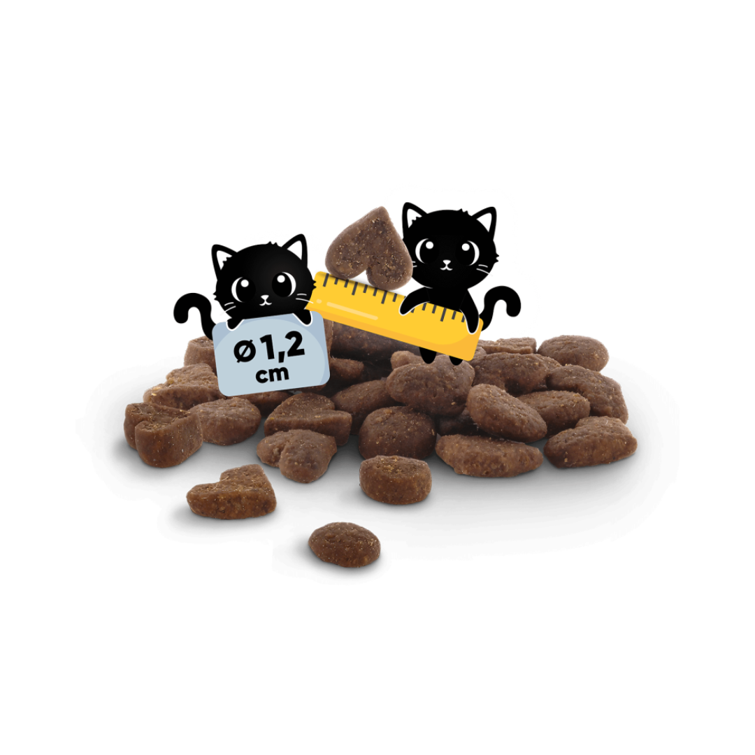 Lucky Lou Adult siipikarja ja kana kissan kuivaruoka 340 g