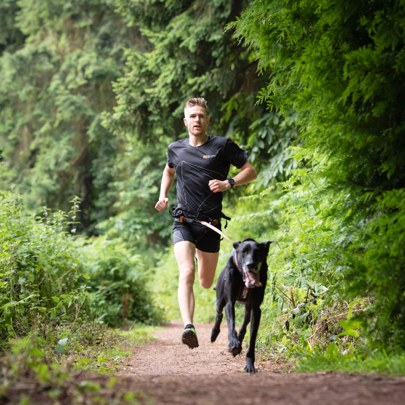 Non-stop dogwear CaniX Belt vetovyö