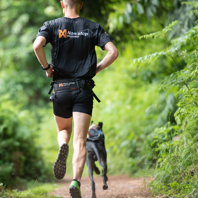 Non-stop dogwear CaniX Belt vetovyö