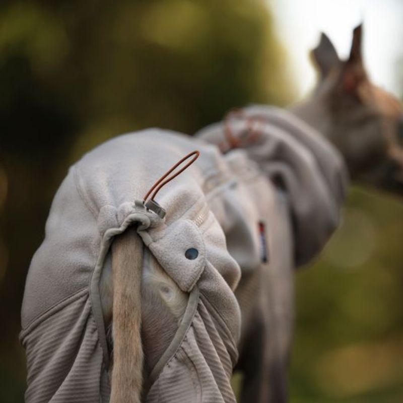 Non-stop dogwear Trail quest fleece overall sand