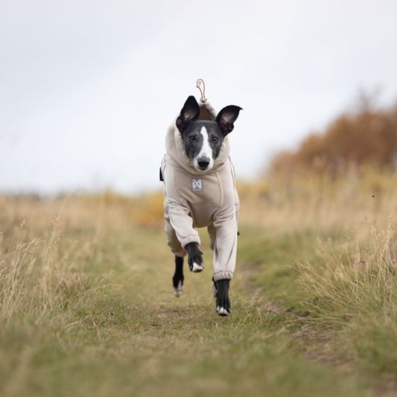Non-stop dogwear Trail quest fleece overall sand