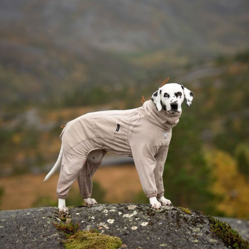 Non-stop dogwear Trail quest fleece overall sand