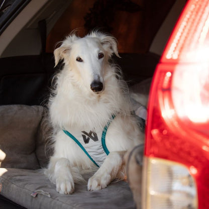 Non-stop dogwear Cooling vest, teal