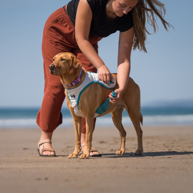 Non-stop dogwear Cooling vest, teal