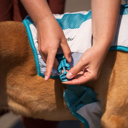 Non-stop dogwear Cooling vest, teal