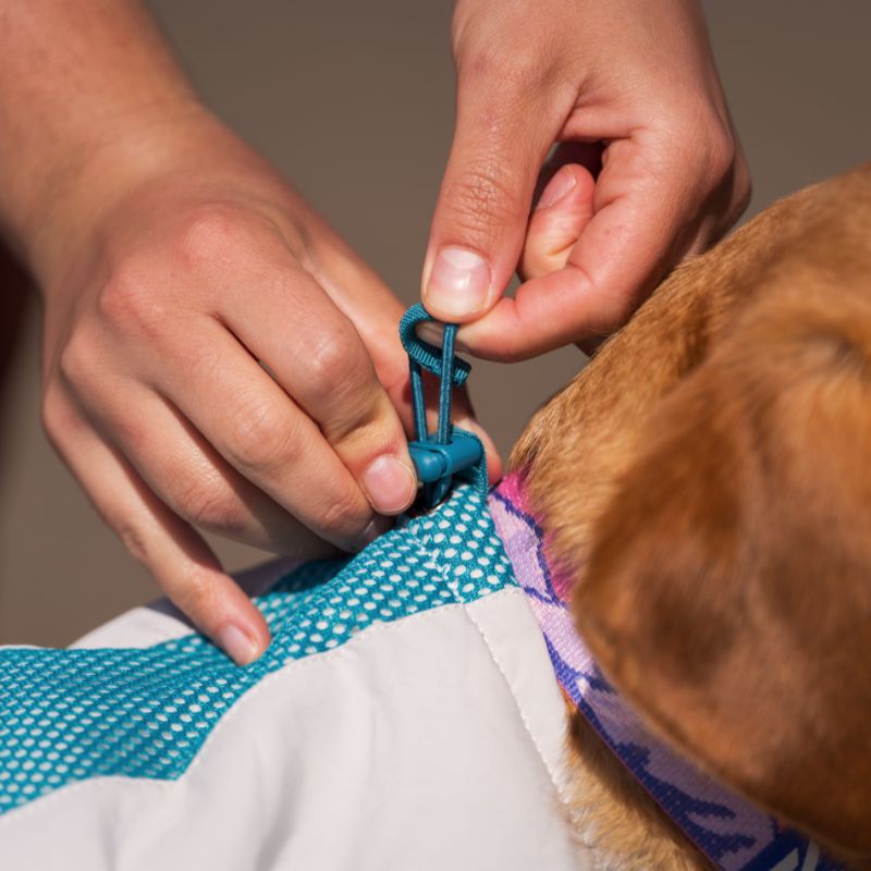Non-stop dogwear Cooling vest, teal