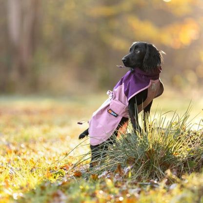 Non-stop dogwear Fjord 2.0 koiran sadetakki 2.0 mauve