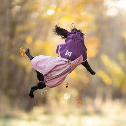 Non-stop dogwear Fjord 2.0 koiran sadetakki 2.0 mauve